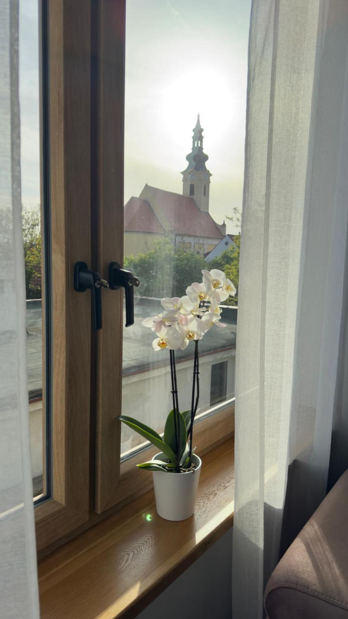 S Vyhledem Na Palavu Villa Popice