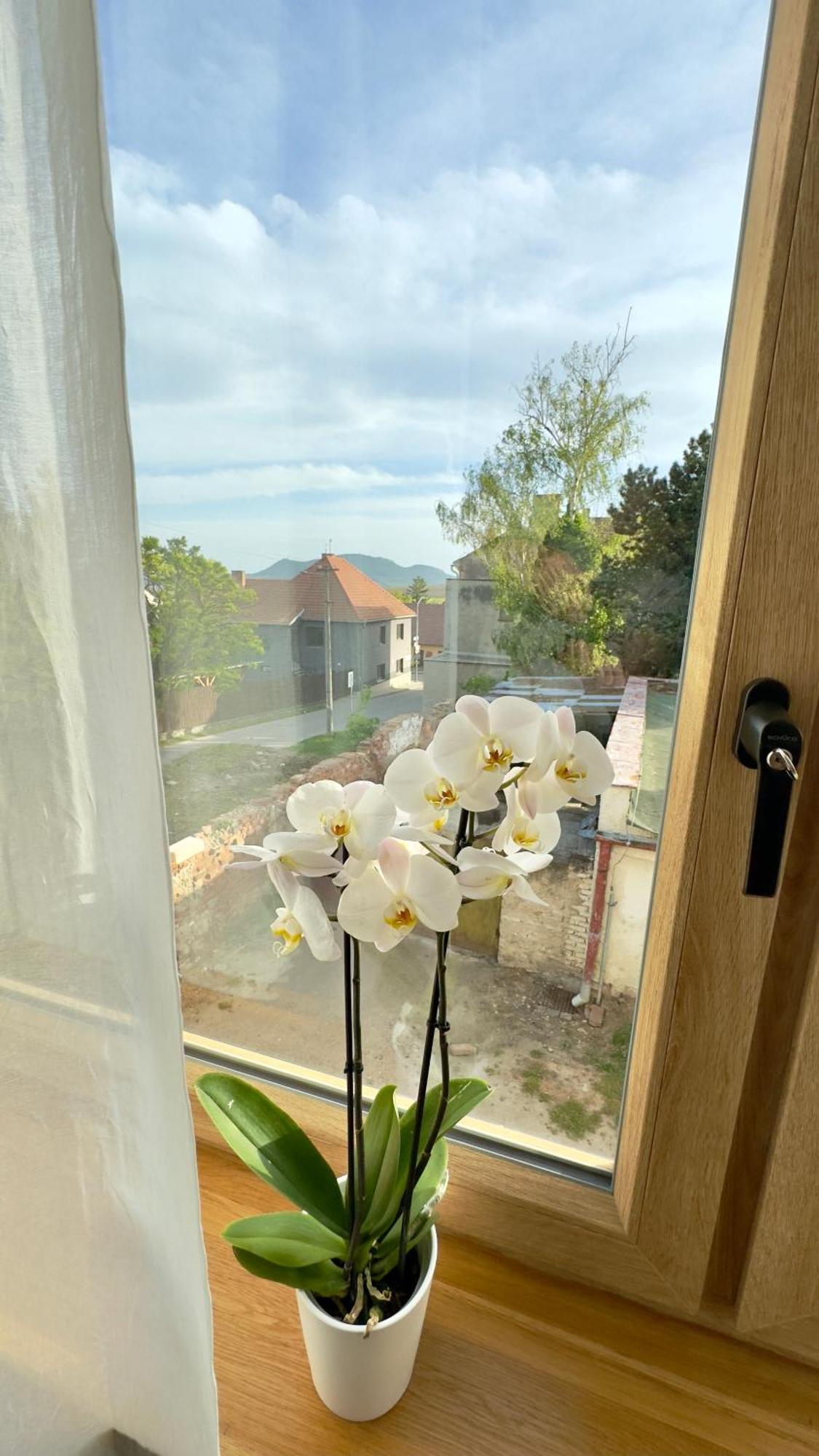 S Vyhledem Na Palavu Villa *